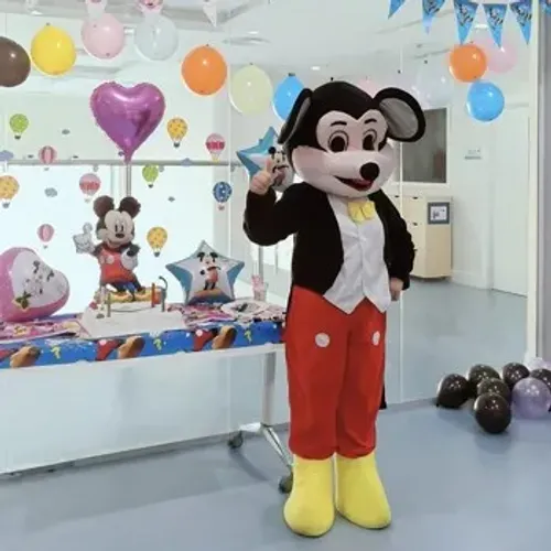 Mix Up Mickey Mouse