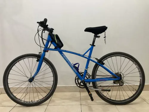 Hybrid bicycle