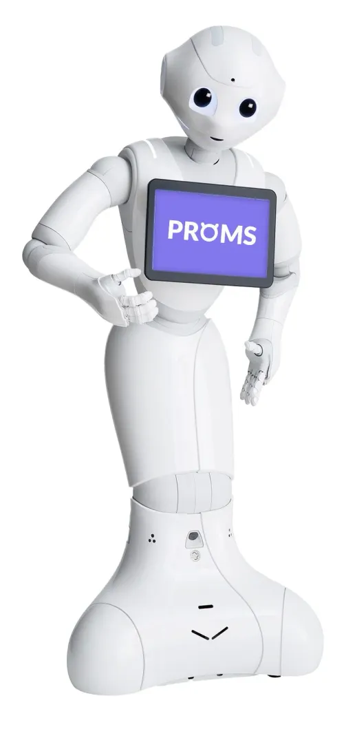 Pepper Robot for Rent – CUTE Interactive Reception Robot for Events, Exhibitions & Hotels