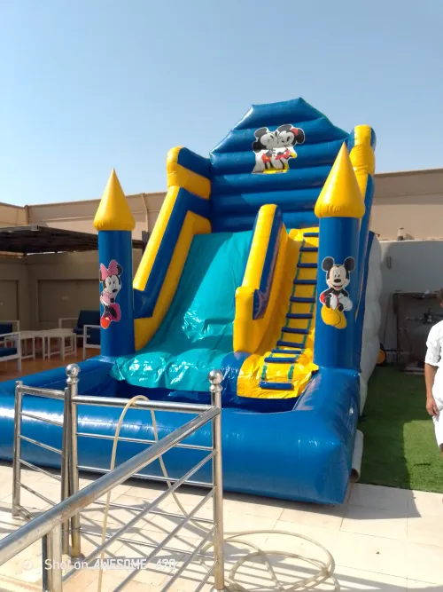 زحلقية مائية مكي ماوس 3