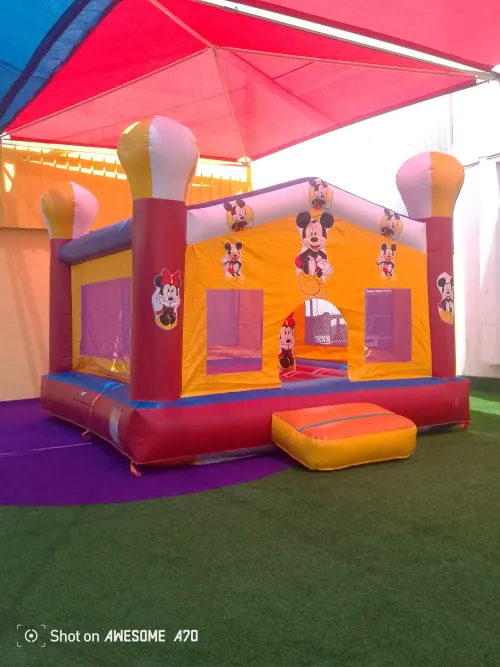 Mickey Mouse Air Bouncer2