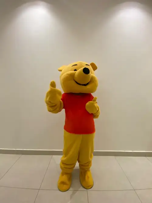Winnie the Pooh Costume for Parties and Kids’ Shows3