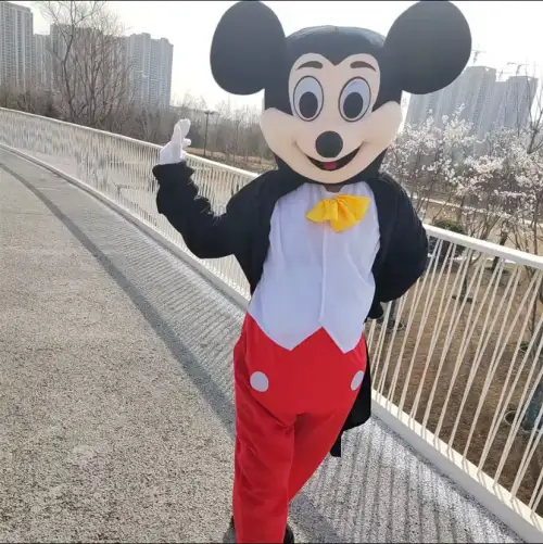 Mickey Mouse Costume for Kids’ Entertainment3