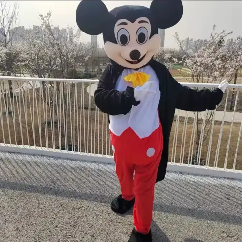 Mickey Mouse Costume for Kids’ Entertainment2