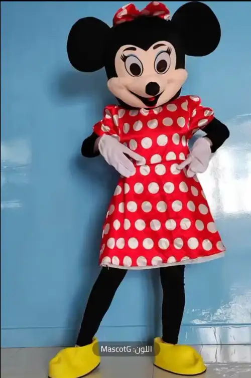 Minnie Mouse Costume for Girls’ Birthday Parties2
