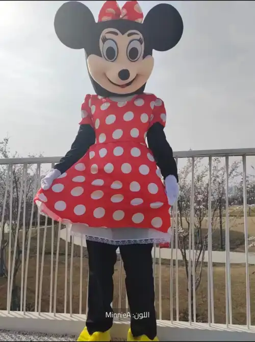 Minnie Mouse Costume for Girls’ Birthday Parties4