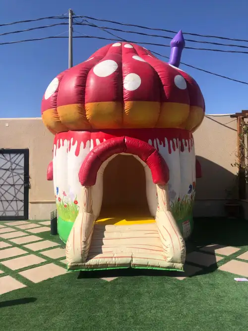 Mushroom-Shaped Bouncer with Colorful Design4