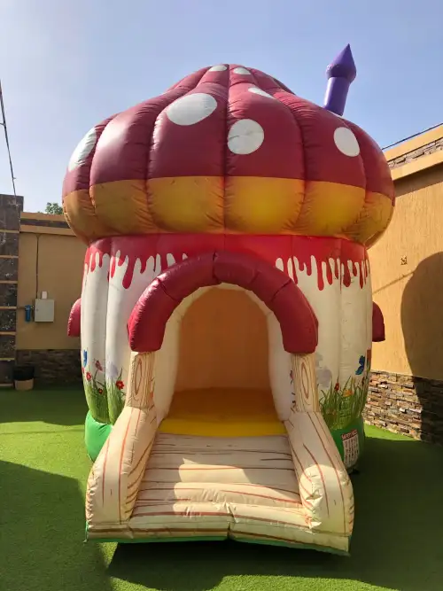 Mushroom-Shaped Bouncer with Colorful Design2
