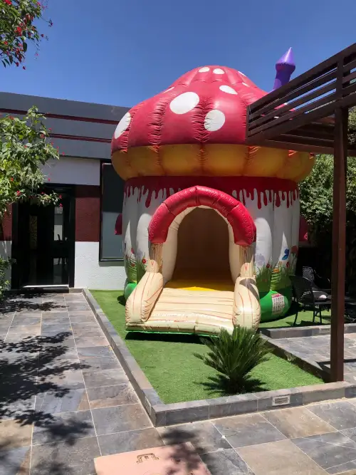 Mushroom-Shaped Bouncer with Colorful Design3