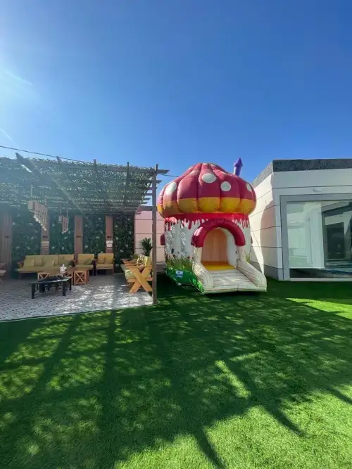Mushroom-Shaped Bouncer with Colorful Design5