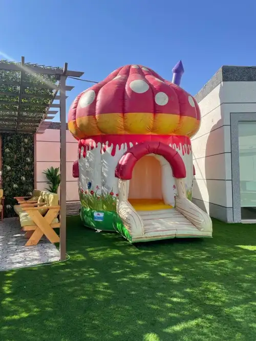 Mushroom-Shaped Bouncer with Colorful Design