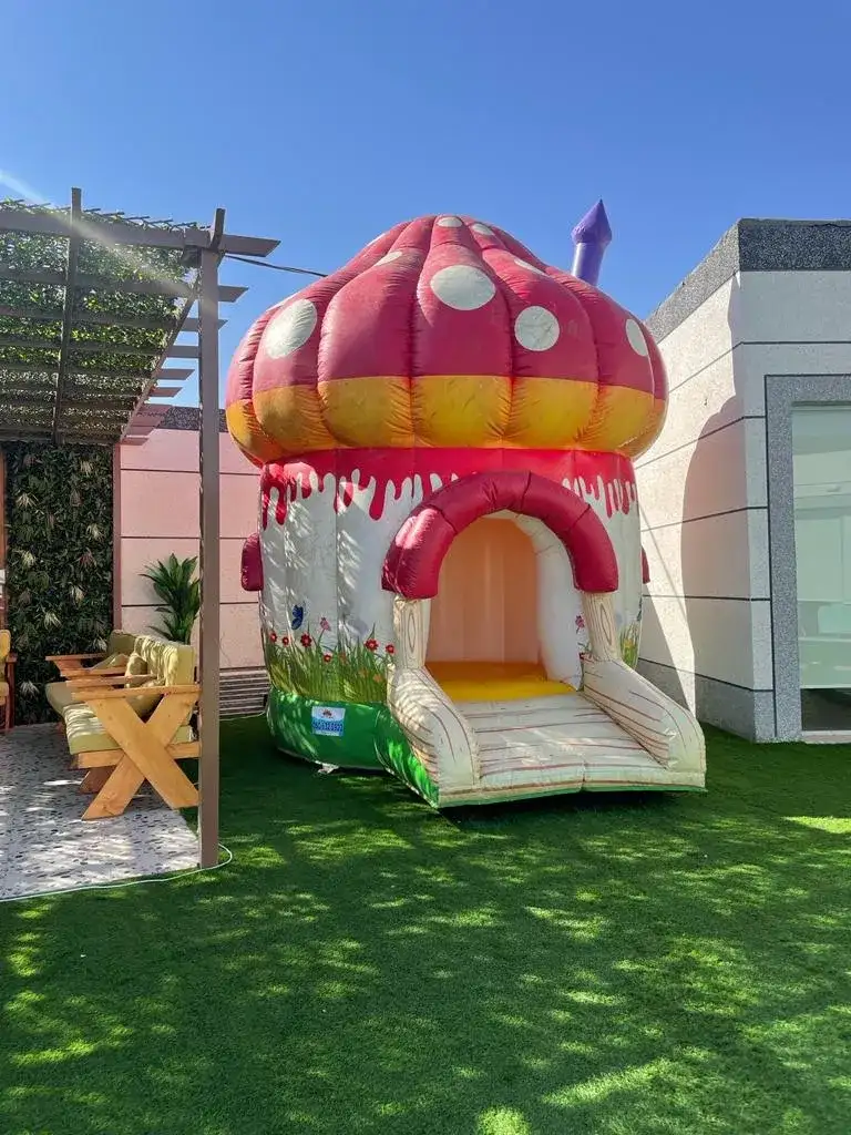 Mushroom-Shaped Bouncer with Colorful Design