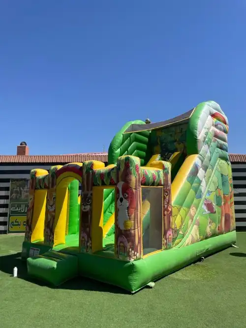 Simba the Lion King Slide for Kids’ Events3