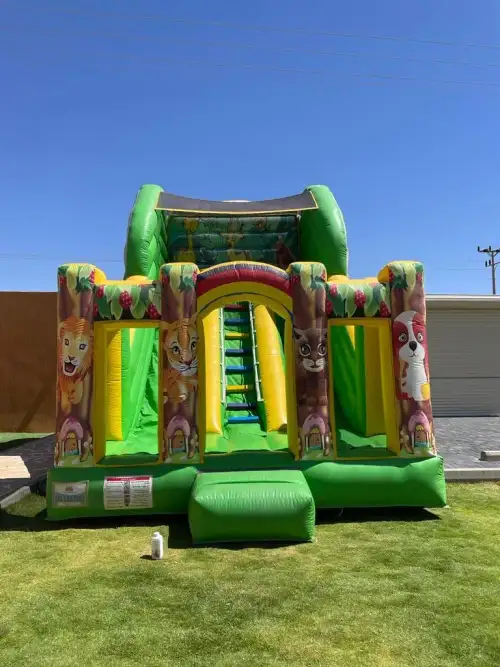 Simba the Lion King Slide for Kids’ Events