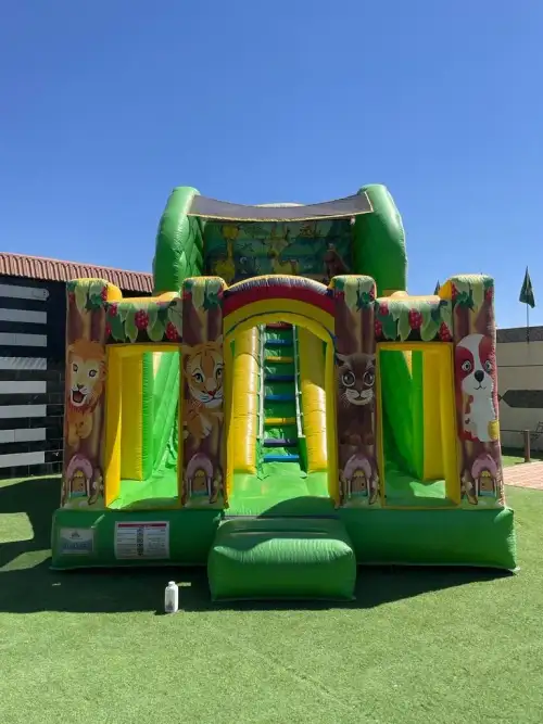Simba the Lion King Slide for Kids’ Events2