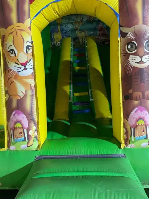 Simba the Lion King Slide for Kids’ Events5