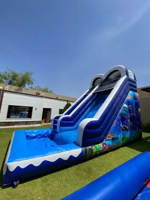 XL Inflatable Water Slide for Summer Festivals4