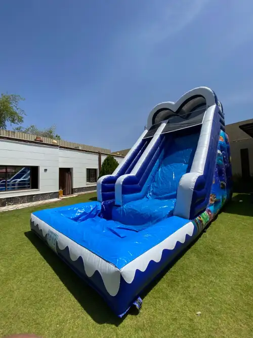 XL Inflatable Water Slide for Summer Festivals3