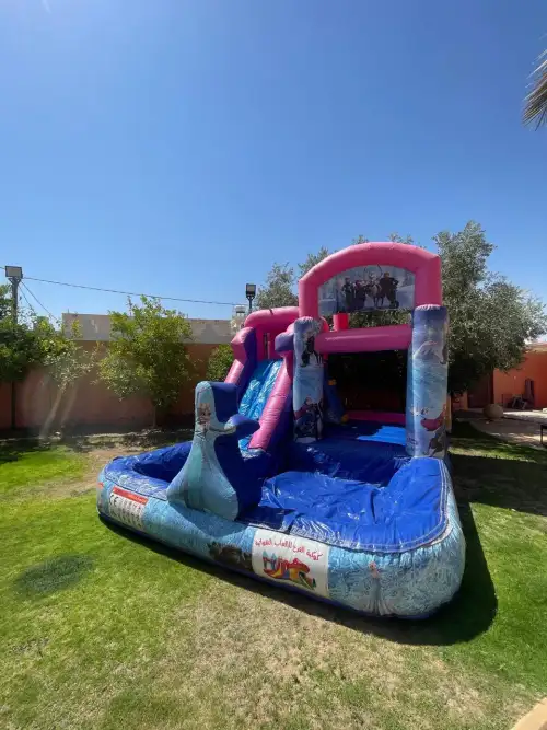 Frozen-Themed Water Slide with Elsa Design3