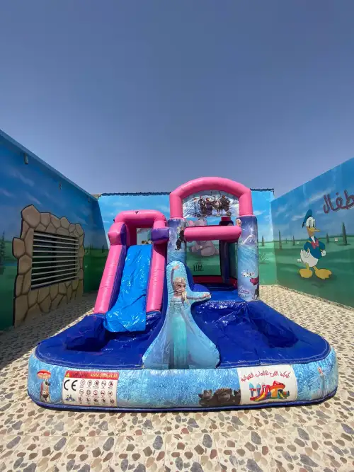Frozen-Themed Water Slide with Elsa Design5