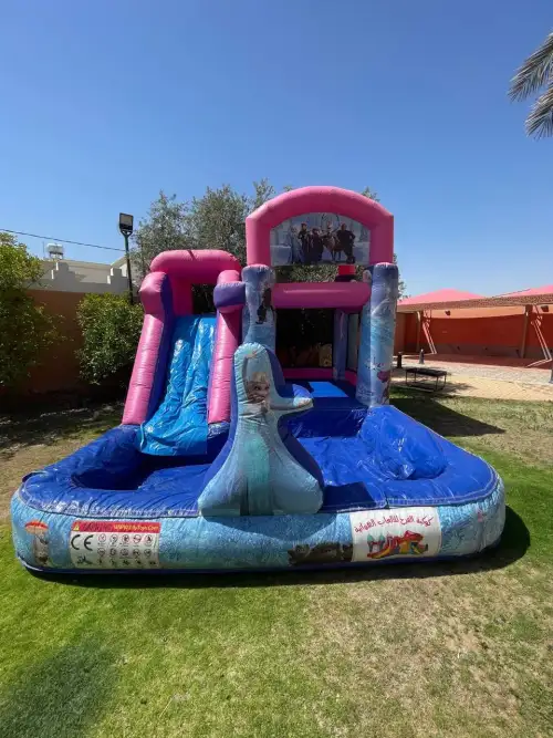 Frozen-Themed Water Slide with Elsa Design2