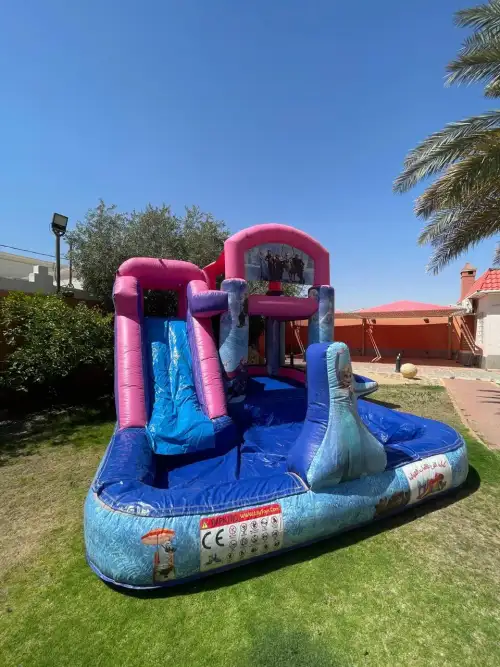 Frozen-Themed Water Slide with Elsa Design