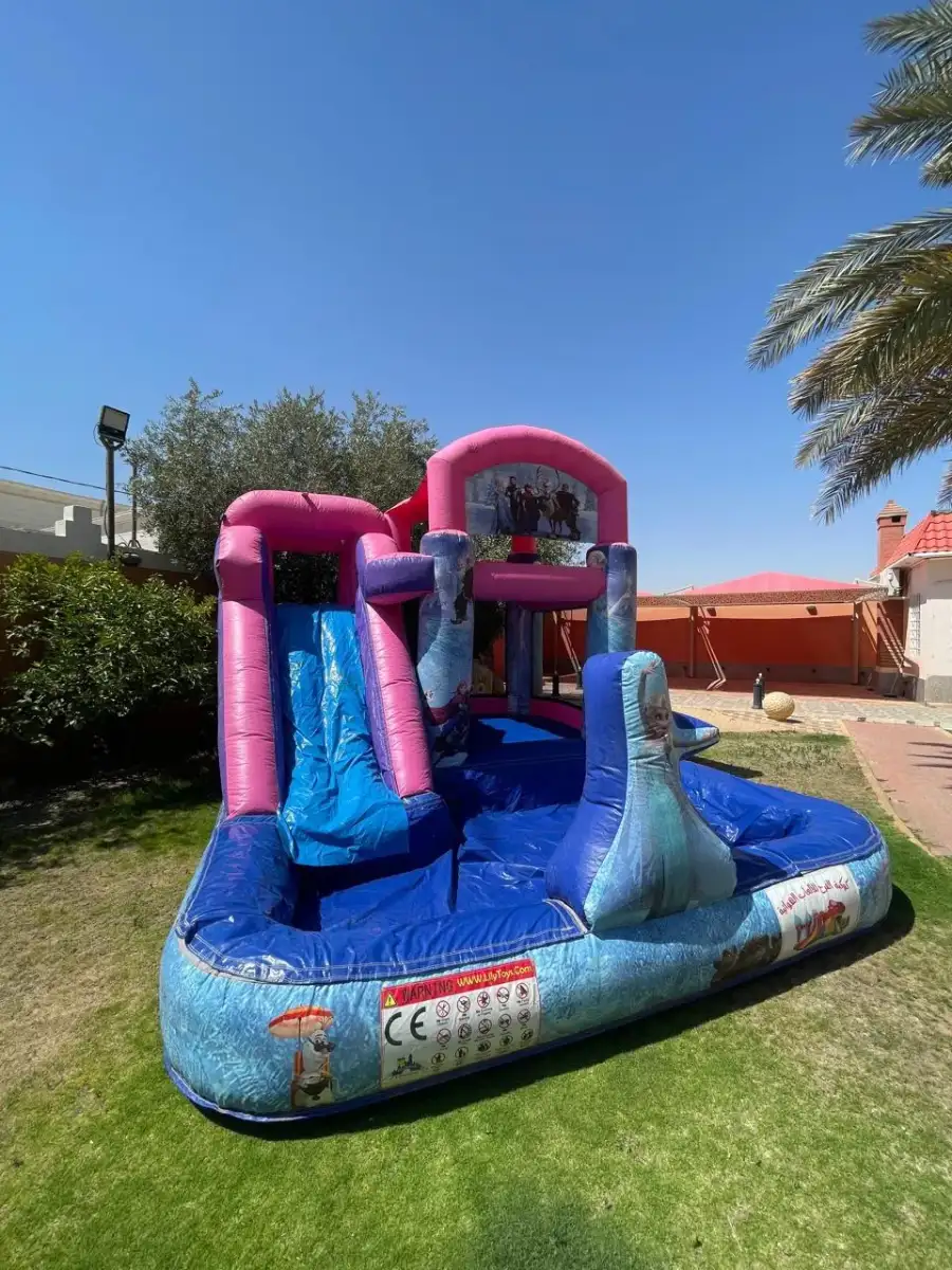 Frozen-Themed Water Slide with Elsa Design