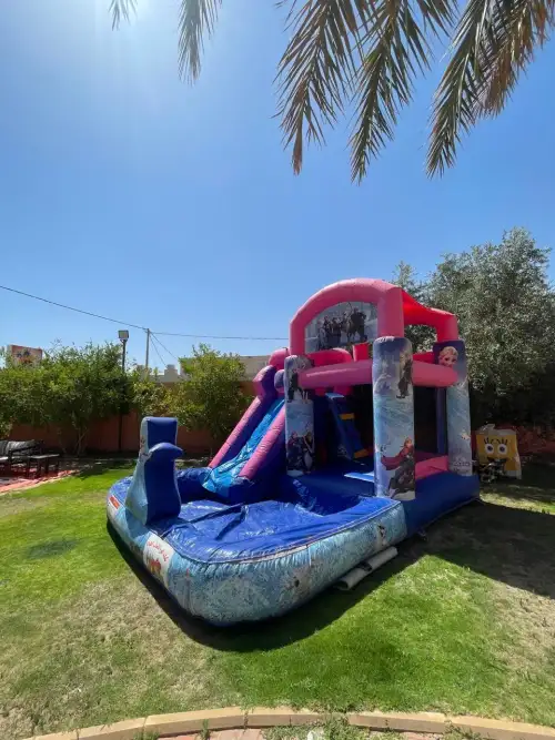 Frozen-Themed Water Slide with Elsa Design4