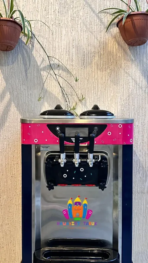 Professional Ice Cream Machine for Party Rental