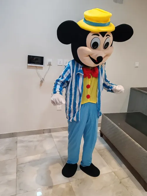Mickey Mouse Cartoon Character Classic  no 114B