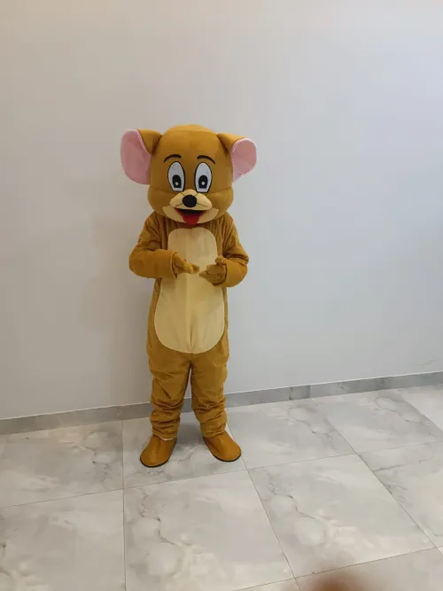 Jerry Mouse Cartoon Character Fun 118