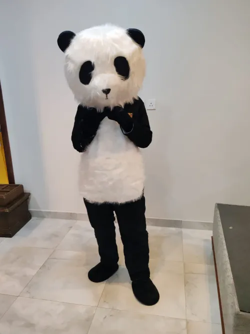 Panda Cartoon Character for Events 123