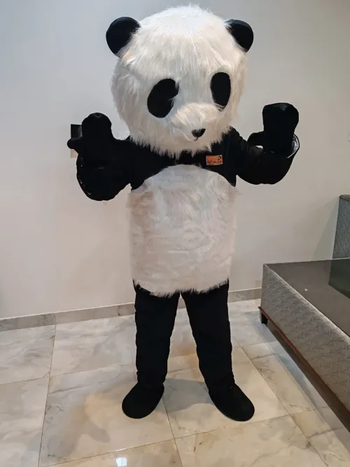 Panda Cartoon Character for Events 1233