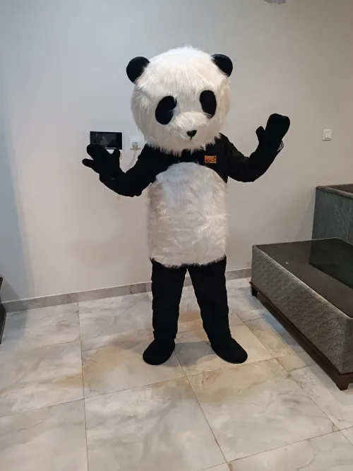 Panda Cartoon Character for Events 1232