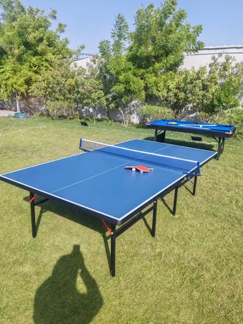 Table Tennis for Events & Sports Games 141 3