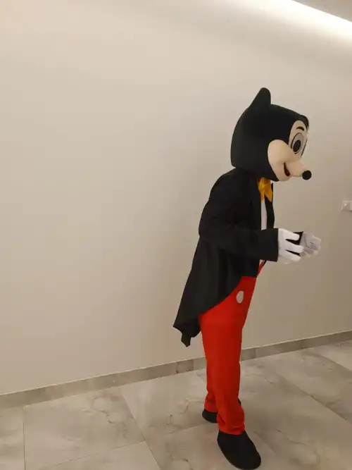 Mickey Mouse Cartoon Character Event Decor & Figures A 1143