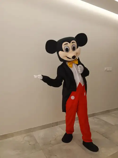 Mickey Mouse Cartoon Character Event Decor & Figures A 1142
