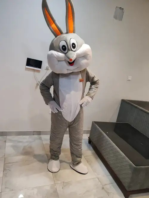 Cartoon Character: Funny Bunny – Perfect for Kids 121 4