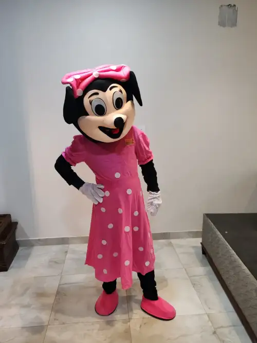 Cartoon Character: Minnie Mouse – Add Joy to Your Celebrations 115 B4