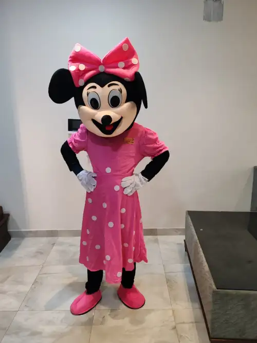 Cartoon Character: Minnie Mouse – Add Joy to Your Celebrations 115 B2