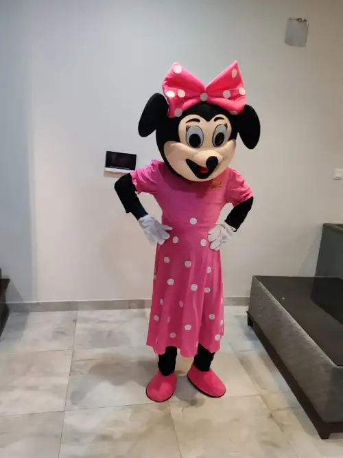 Cartoon Character: Minnie Mouse – Add Joy to Your Celebrations 115 B5