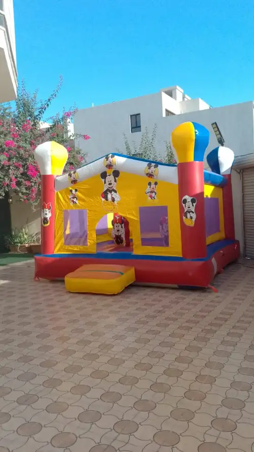 Mickey Mouse Design Bouncy Castle with Dry Slide