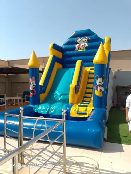 Mickey Mouse Inflatable Water Slide