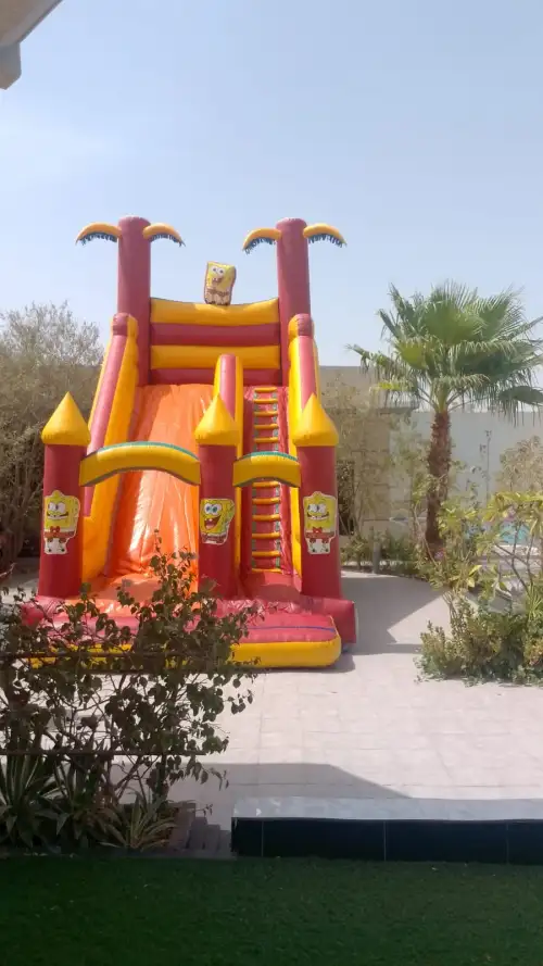 Large Dry Inflatable Slide2