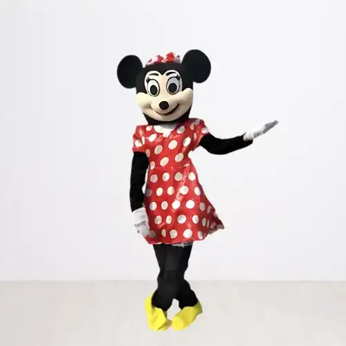 Minnie Mouse Costume for Girls’ Birthday Parties