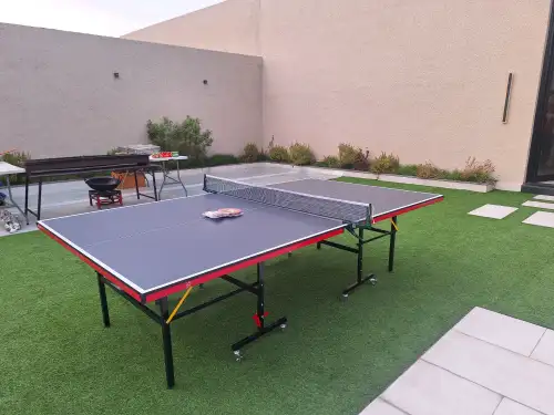Professional Foldable Ping Pong Table|  Daily Rental2