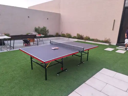Professional Foldable Ping Pong Table|  Daily Rental